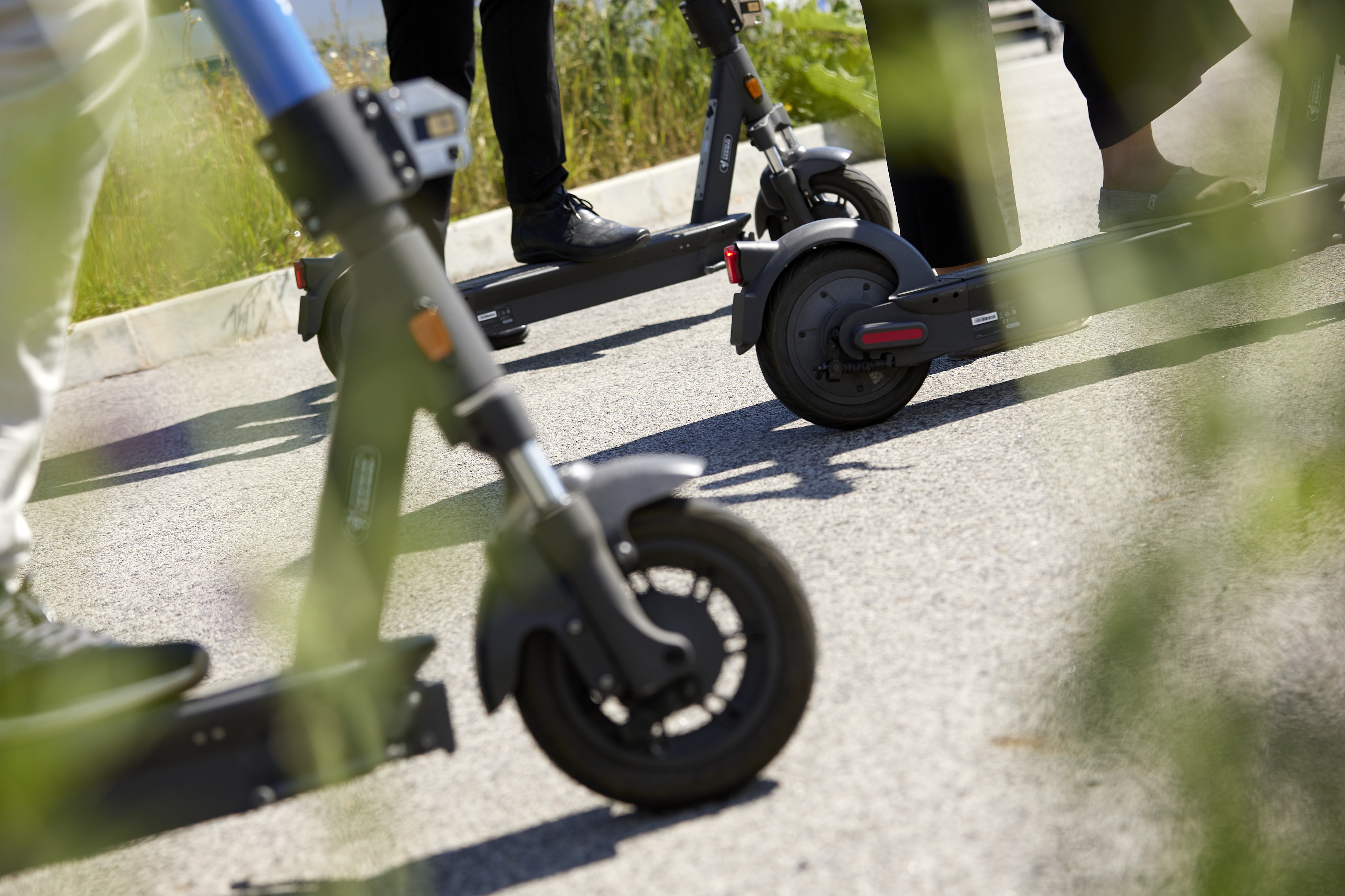 coffee and-coffee-beans